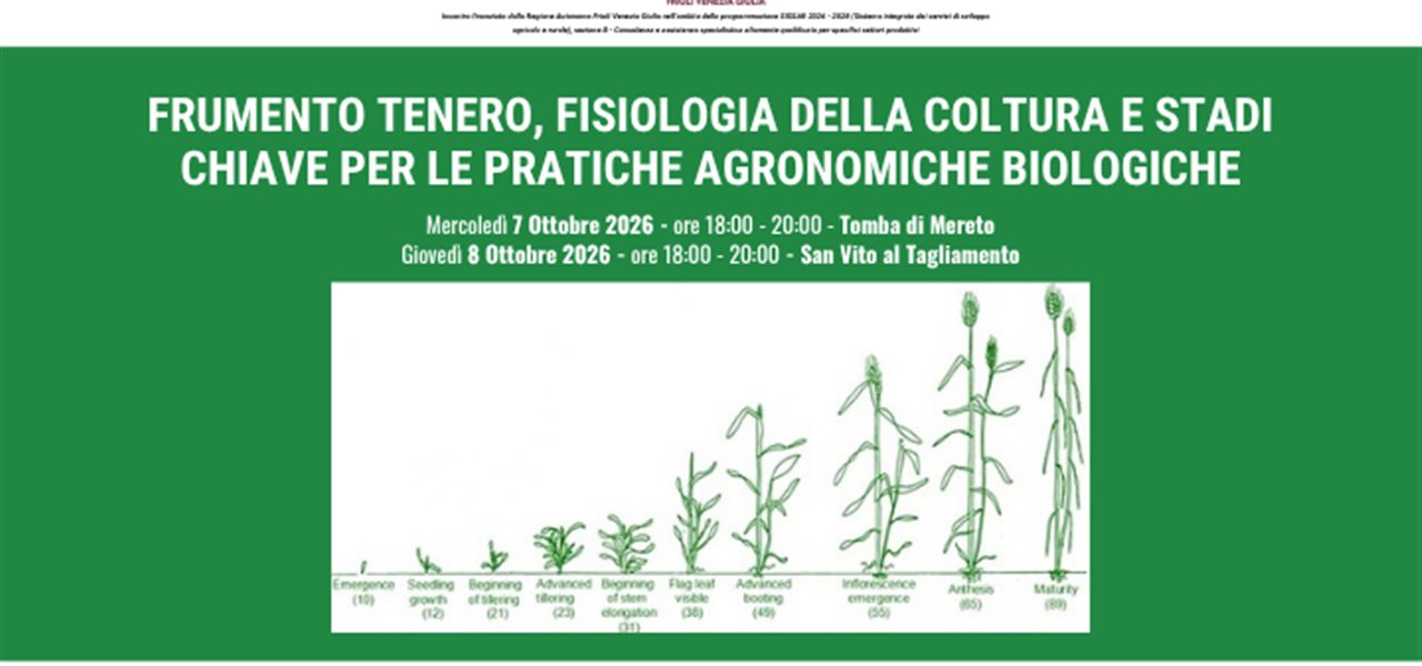 Agrifood FVG