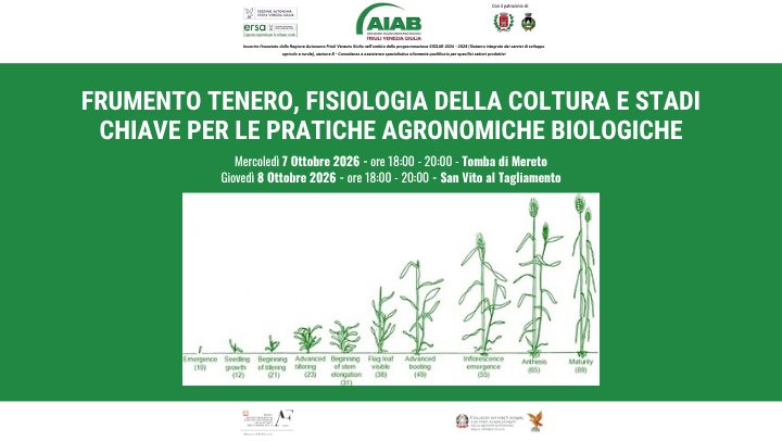 Agrifood FVG